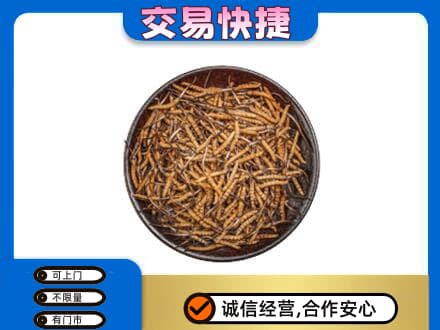 株洲攸县高价回收散虫草